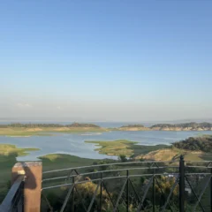 The Pong reservoir seen from the terrace at Lodge at Pong, Dhameta, with grass islands standing above the waterline