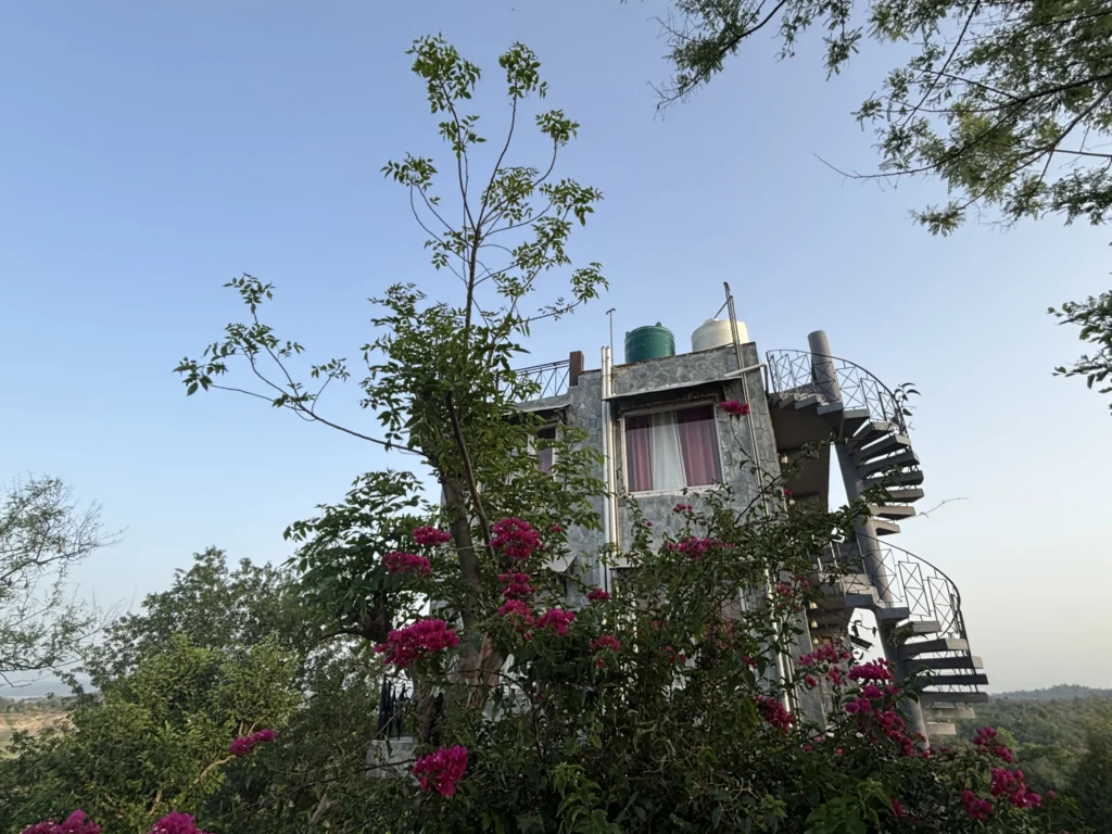 The stone-clad building at Lodge at Pong, Dhameta, behind bougainvillea, with a spiral staircase to the roof