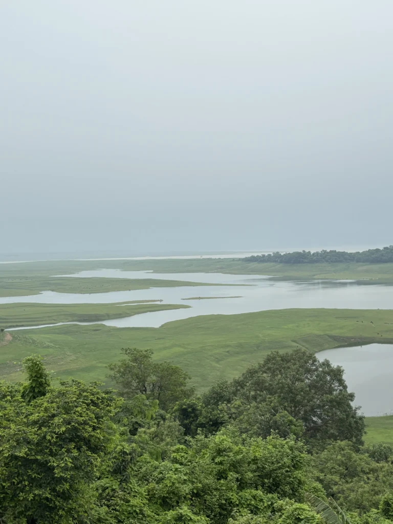 Shallow water and grassland at the edge of the Pong reservoir in the monsoon, the habitat the migratory birds winter on