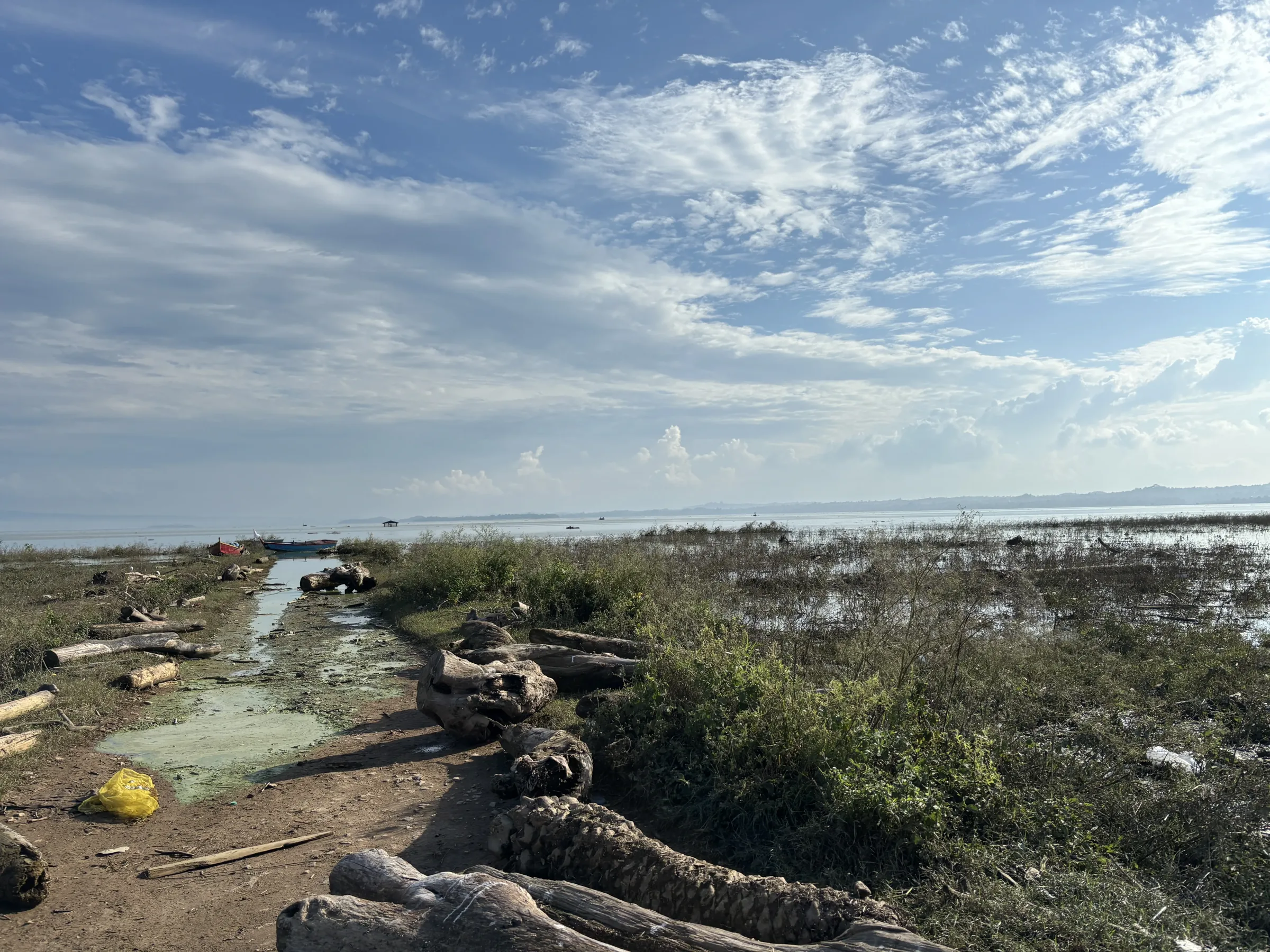The wide shoreline of Maharana Pratap Sagar in lower Kangra under a high sky