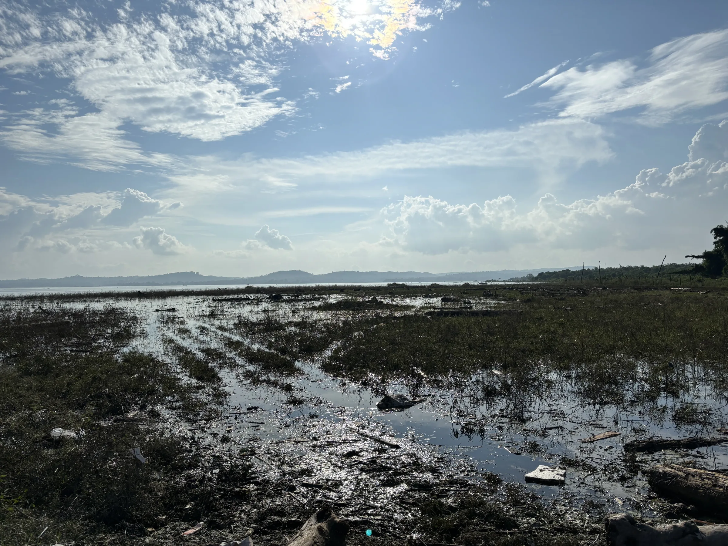 Exposed lakebed and shallow standing water at the edge of the Pong Dam reservoir during drawdown